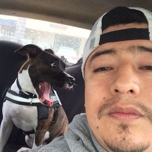 Meet your Posher, Israel mario